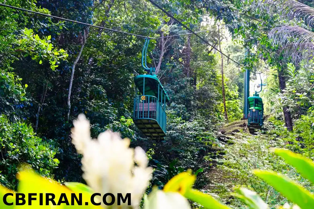 سنت لوسیا کجاست؟