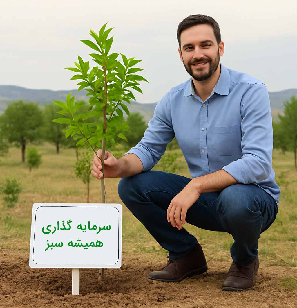 سرمایه گذاری همیشه سبز سی بی اف ایران