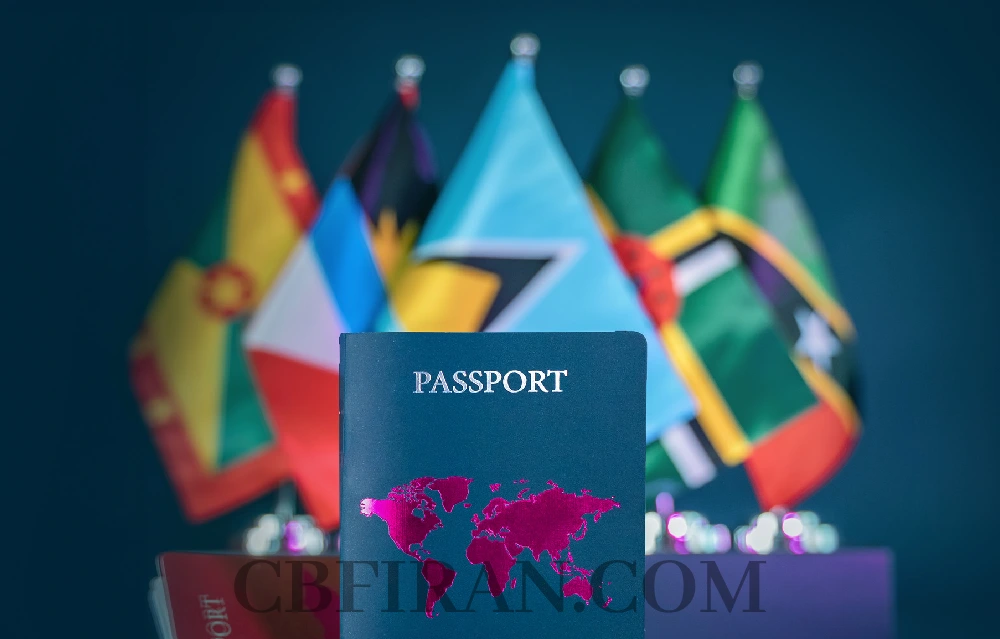 اخبار جدید ECCIRA